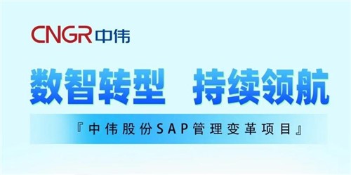 һͼɭɷSAP
