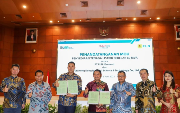 ÉÁÖÎè»á¹ÙÍøÐ¯Ö¸Ä£Äá¹ú¼ÒµçÁ¦¹«Ë¾ ÍƹãÂÌÉ«ÐÂÄÜԴʹÓÃ